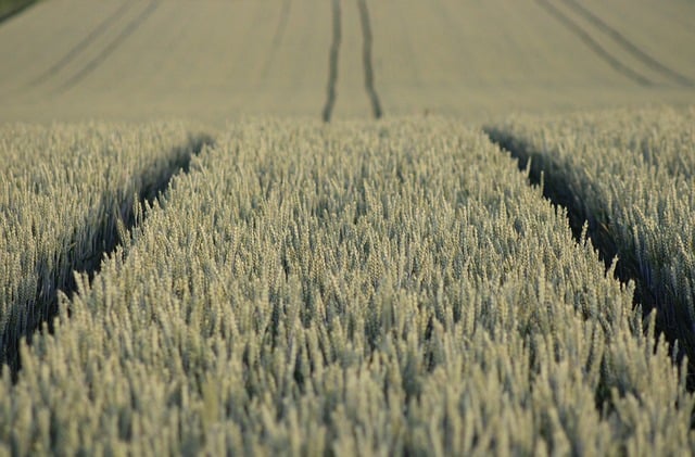 irish farmland machinery working fields safety maintenance